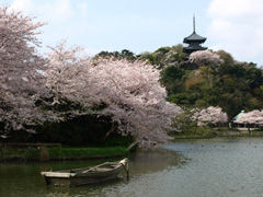 P140008
