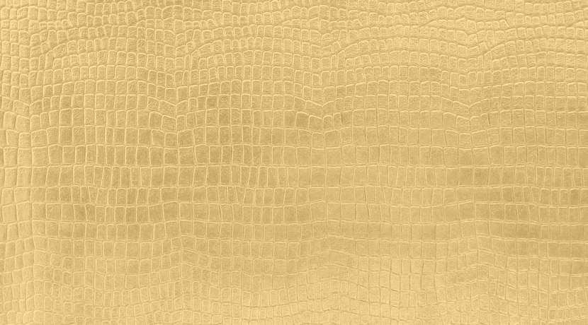 お金が貯まる財布のポイントは使い方と作り方にあった 今すぐできるお金がみるみる集まるコツ 節約大全 生活費を賢く浮かせてお金を貯めるコツ